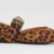 AN LEOPARDO
