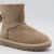 AN TAUPE