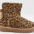AN LEOPARDO