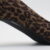 AN LEOPARDO