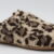 Leopardo