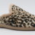 Leopardo
