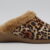 Leopardo